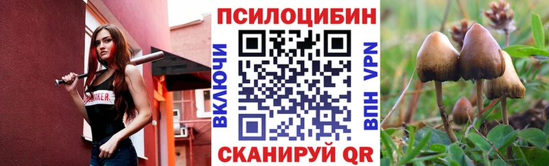 Купить  Суздаль  Галлюциногенные грибы MAGIC MUSHROOMS 